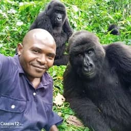 Wenidali