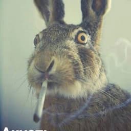 stepAHAHA7