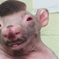 _RATAO_