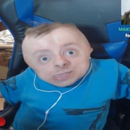 dzxcvhgh