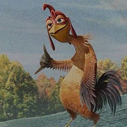 Srr4fiki