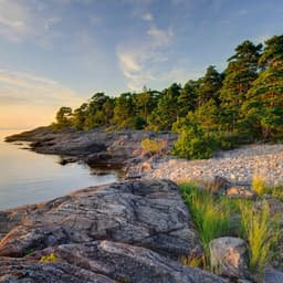 larsbstrm