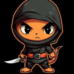 Ninjaa737