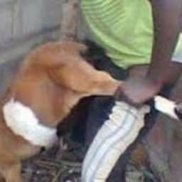 AbduhlDiGoat