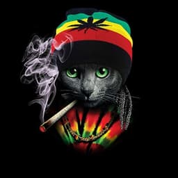 CatJohn