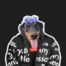 Phatboi_