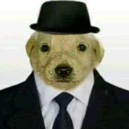 wwernel