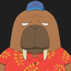 crazyturt1e