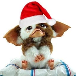 GizmOoX