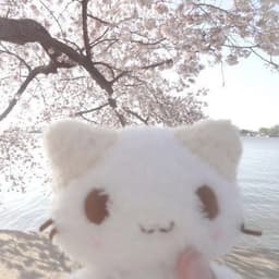 dreamsyako