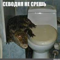 gdenoimos