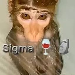 Gyuszko2