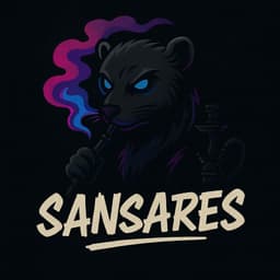 SanSareSs