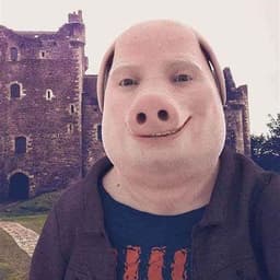 korenoesalo