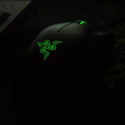 raemgl0w