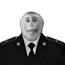 SDVG_PRIME