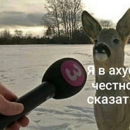 voperupolnom