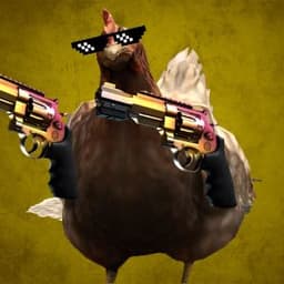 dimof11
