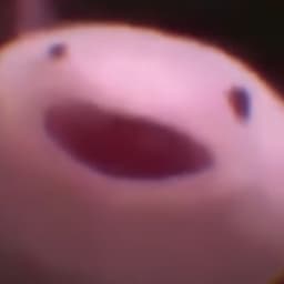 skedudel
