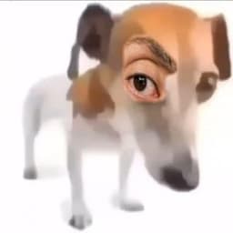 yobaniynub