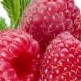 Rasphberry1