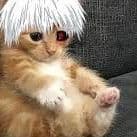 UAxlabusek