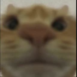 StepanKri