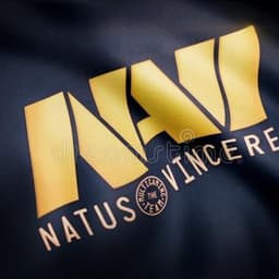 NAVIxylo
