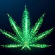 420stoner42o