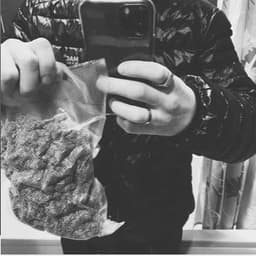dtmonster13