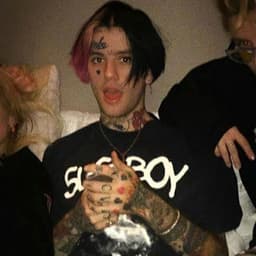 nov1ce14
