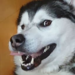 1Hxro1