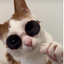 sollution5