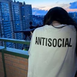 aimphibia