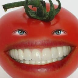 Pomidorioo