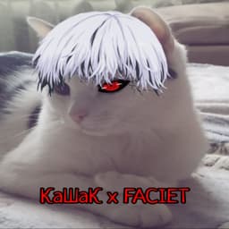_KaHaK_