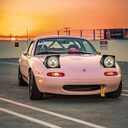 _Nutis_