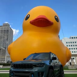 GamerDuckLT