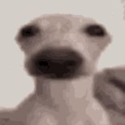 realgerald