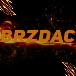 Brzdac166