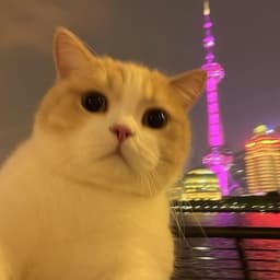 Mr_KluBn1ka