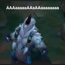 hey555