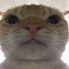 iTHIL