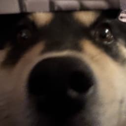 s4ooo