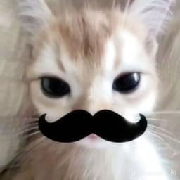raka_makafo