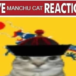 meowkitten98