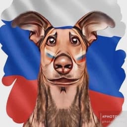MaxStepanov