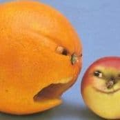 Prollution