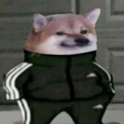 teLMG
