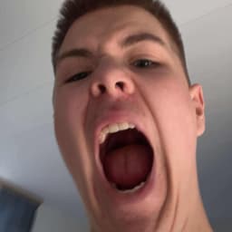 Simonlauge